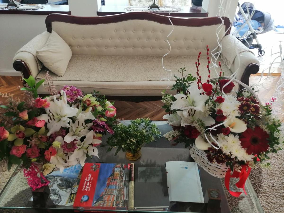 Villa D'Amore Montenegro Donji Morinj Ngoại thất bức ảnh