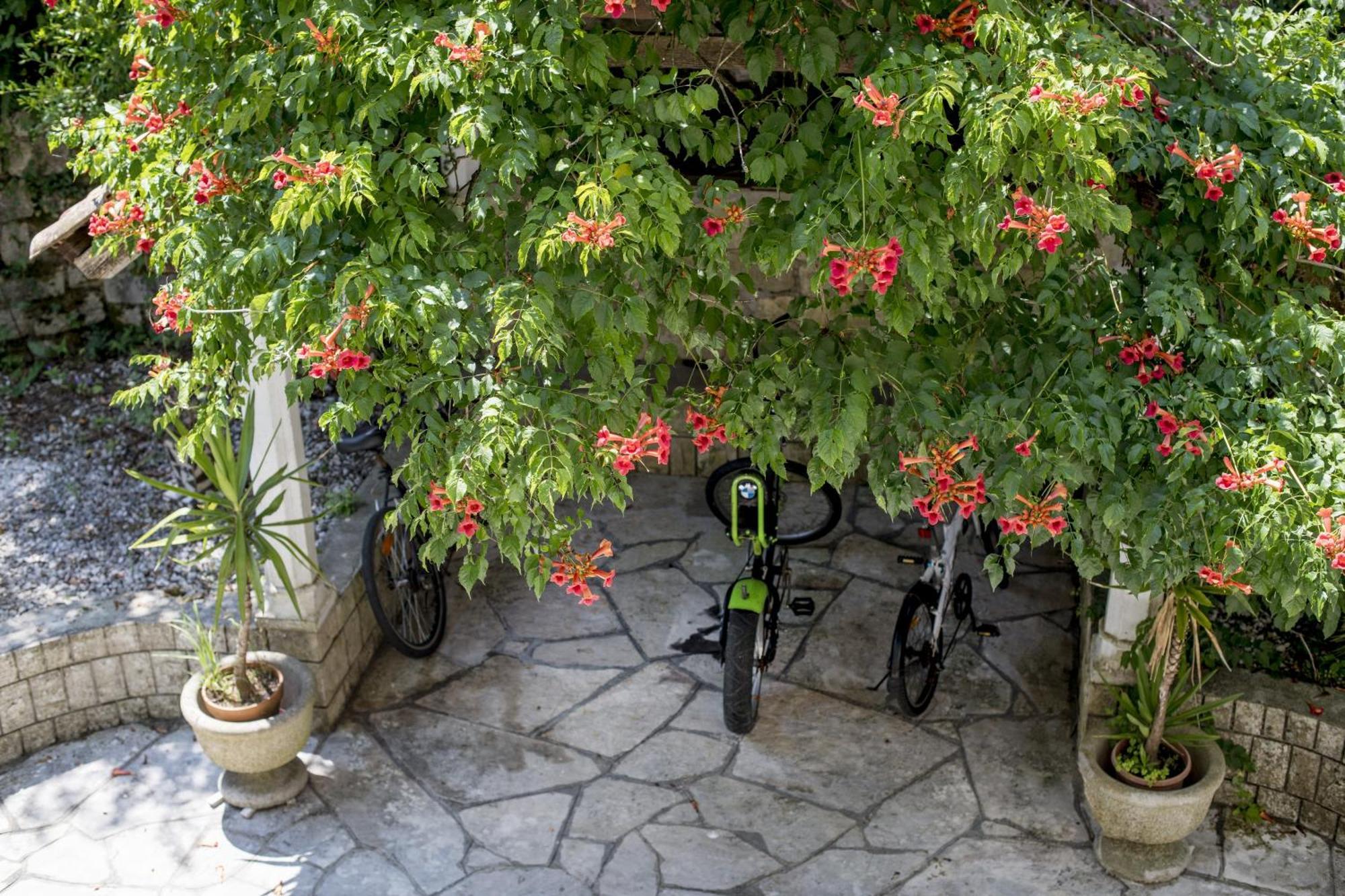 Villa D'Amore Montenegro Donji Morinj Ngoại thất bức ảnh